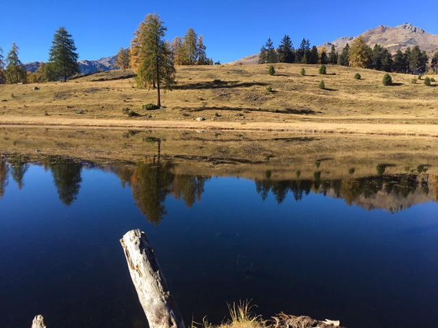 Appartamento Chasa Mundin Scuol Esterno foto